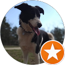 Òscar de Miguel profile picture